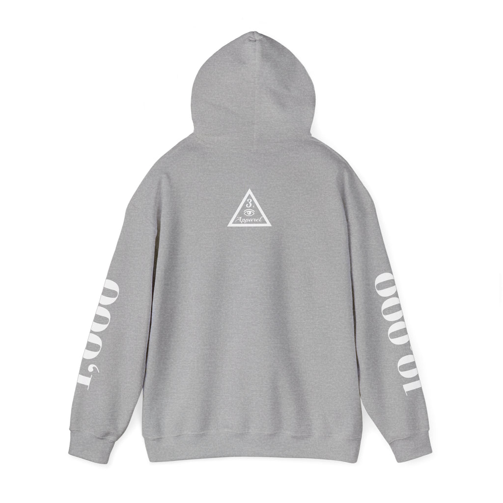 FAFO | Psalm 91:7 Sleeve Print Hoodie